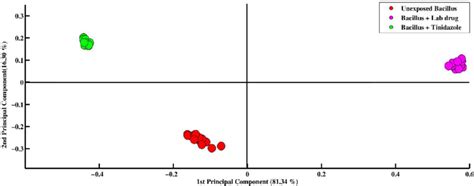 Pca Scatter Plot Of Sers Spectral Data Sets Of Unexposed Bacillus