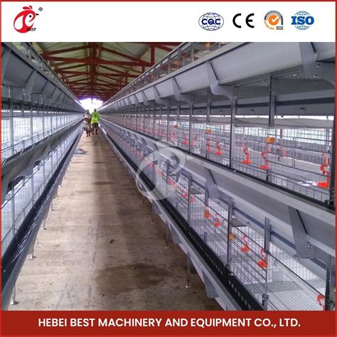 Bestchickencage H Type Pullet House Breeder Cage China Baby Chicken