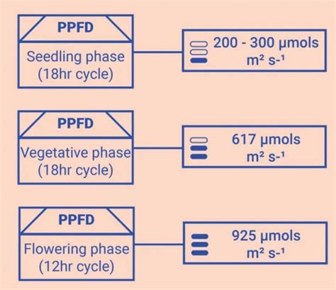 What Is Ppfd For Flowering Everything You Need To Know