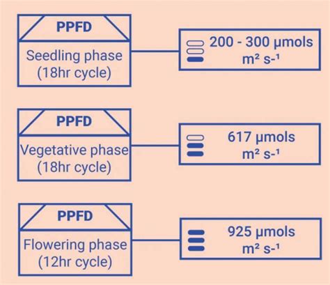 What Is PPFD For Flowering Everything You Need To KNOW