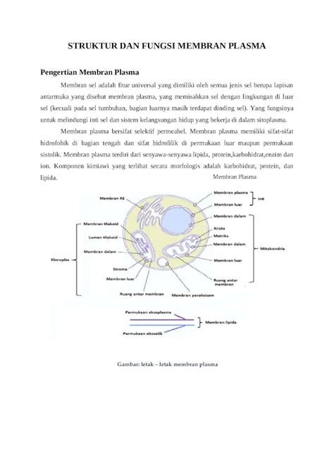 Docx Struktur Dan Fungsi Membran Plasma Dokumen Tips