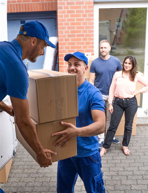 About Us Cbd Movers Uae