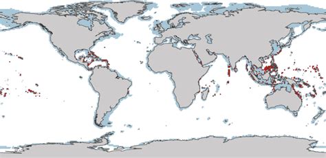 Global Map Of Present Day Warm Water Coral Reefs From The Reefbase