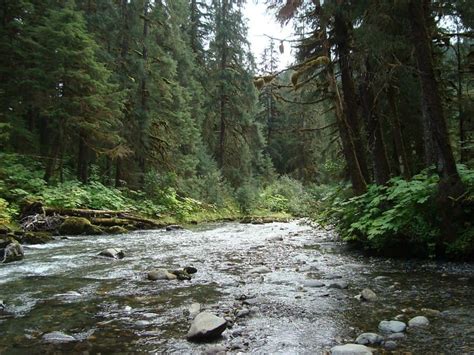 A Complete Guide to Gold Panning in Montana - Discovering Montana