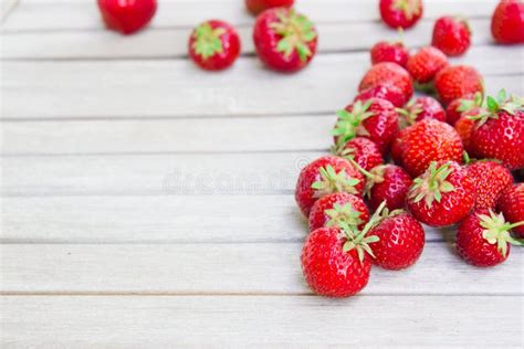 As Morangos Bonitas Frescas Encontram Se Em Uma Tabela De Madeira