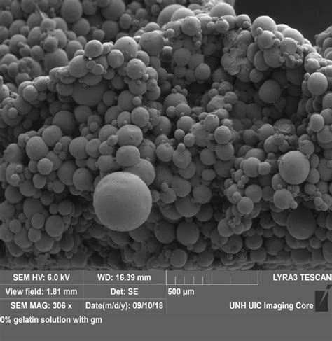 Electron Microscope Image Of T [image] Eurekalert Science News Releases