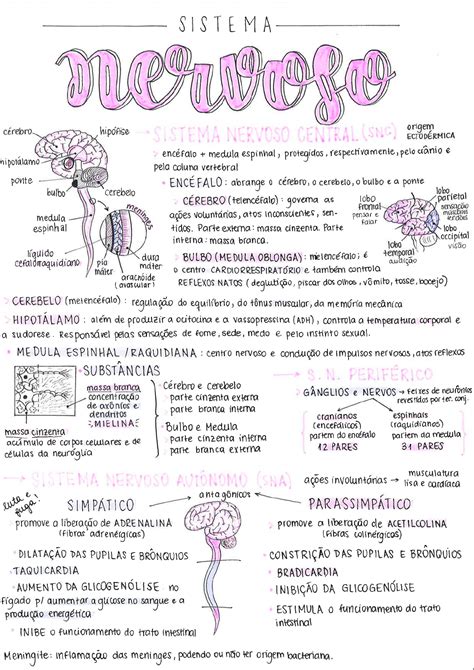 Mapa Mental Dna Enfermagem The Best Porn Website