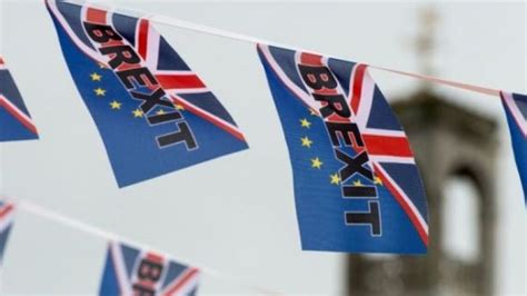 Brexit Pourquoi Le Royaume Uni Nest Plus Si Press De Partir Tf Info