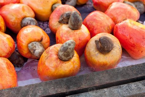 Delicious Fresh Cashew Fruit Also Known As The Cashew Apple For Sale At