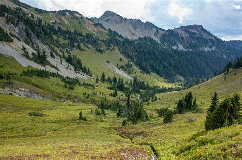 View Of Alpine Meadow And Cascade Range Goat Rocks Wilderness