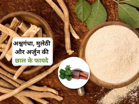 Ashwagandha Mulethi Arjuna Benefits अश्वगंधा मुलेठी अर्जुन की छाल