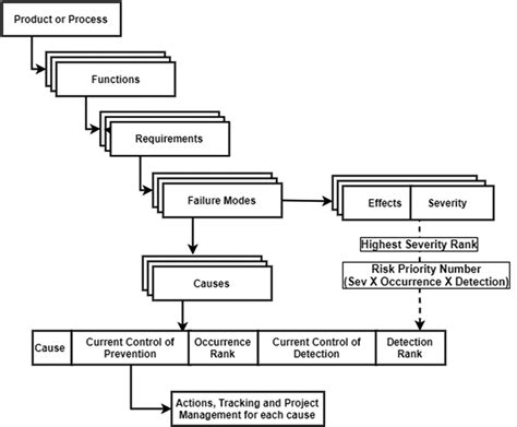 Failure Mode And Effects Analysis FMEA For Immunogenicity Of