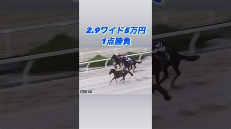 〈地方競馬ワイド1点5万円勝負〉地方競馬 競馬動画まとめ