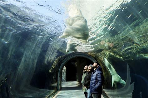 THE 15 BEST Things to Do in Manitoba (2025) - Must-See Attractions