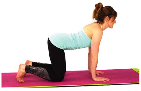 Cow Stretch Purestretch Stretching And Flexibility Training