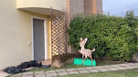 Getta La Figlia Dal Terrazzo Il Punto In Cui Stata Trovata La