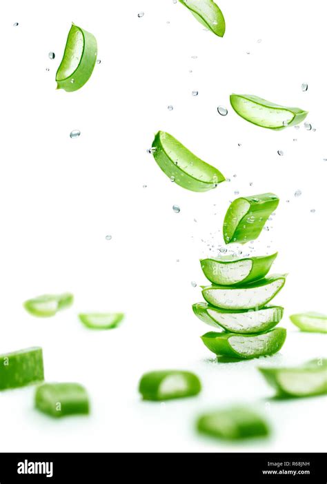 Aloe Vera Slices Stacked With Water Splash Over White Background Stock