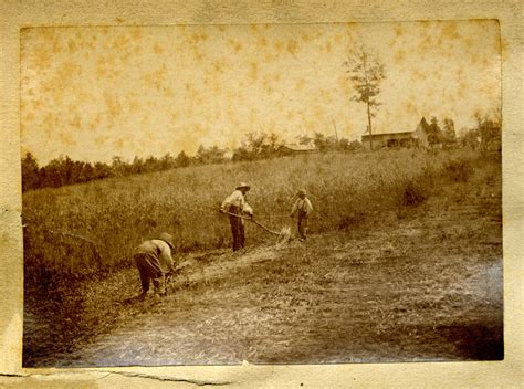 Slave Plantations In Kentucky