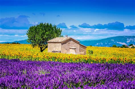 Duftende Lavendelfelder In Der Provence Beautiful Landscapes