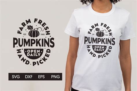 Farm Fresh Pumpkin Hand Picked Svg Graphic By Dadan Pm Creative Fabrica