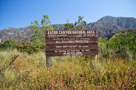 Eaton Canyon Falls Trail: A Beautiful Waterfall Close to LA ...