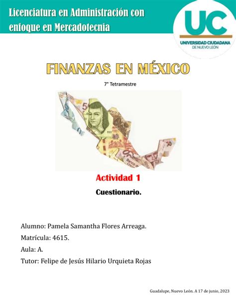 Actividad De Finanzas