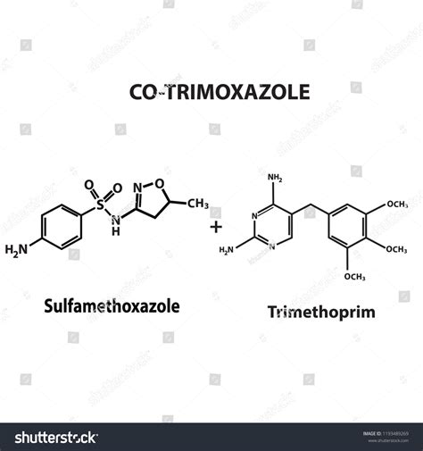 Co Trimoxazole: Over 39 Royalty-Free Licensable Stock Illustrations ...