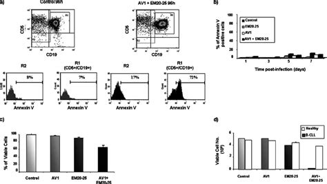 Vsv Av1 And Em20 25 Selectively Kill Cd5 ϩ Cd19 ϩ Cll Cells And Spare