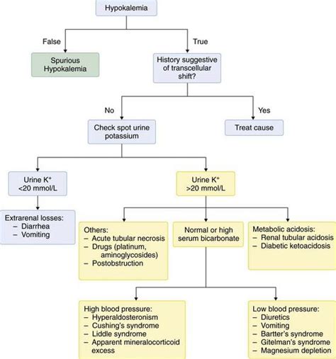 Hypokalemia And Hyperkalemia Basicmedical Key