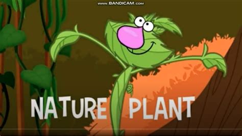 Nature Plant Nature Cat Wikia Fandom