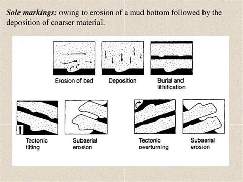 Ppt Chapter 4 Sedimentary Structures Powerpoint Presentation Free