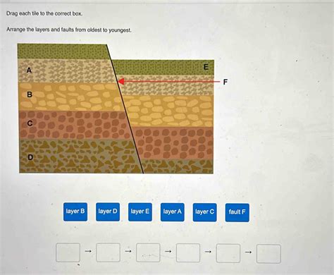 Solved Drag Each Tile To The Correct Box Arrange The Layers And