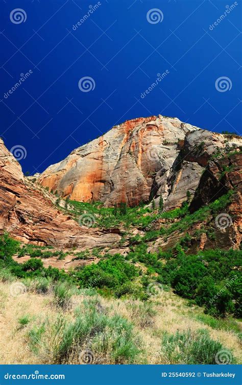 The View of Canyon Junction at Zion Stock Photo - Image of narrow ...