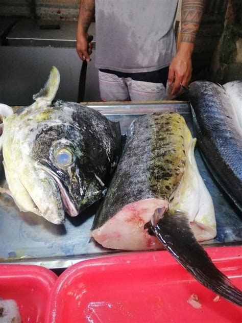 Ibat Ibang Uri Ng Isda Sa Palengke Isa Brilyante