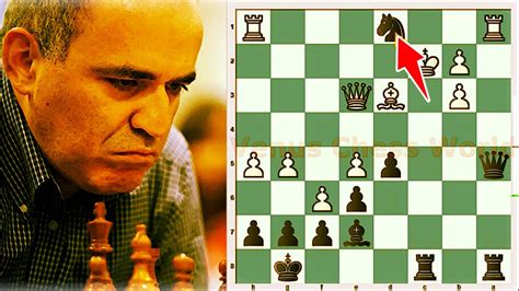 Kasparov Vs Judit Polgar Sicilian 2006 Switzerland YouTube