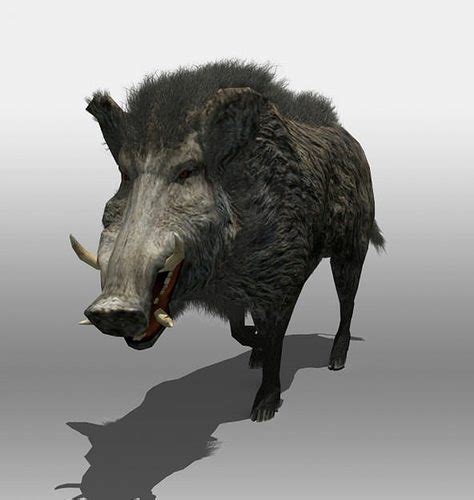 Wild Boar 3d Model Animated Rigged Cgtrader