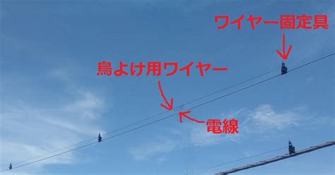 【電線の鳥よけ対策】東京電力とnttに無料で依頼できた話 3回住み替えてわかった理想の住まい