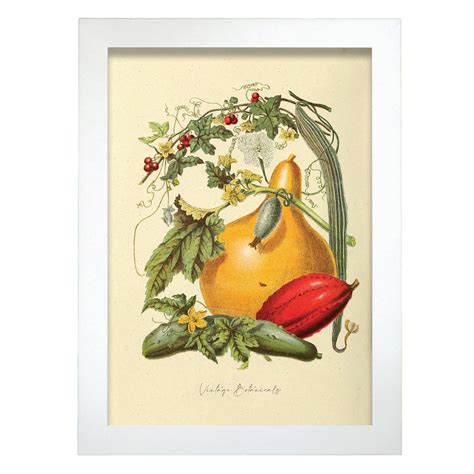 Affiche Nacnic De Squash Inspiré Par De Cuisine Vintage Cadres