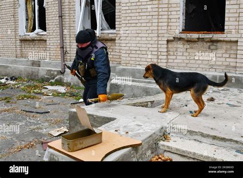 A Ukrainian Sapper Carries Unexploded Projectiles During A Demining