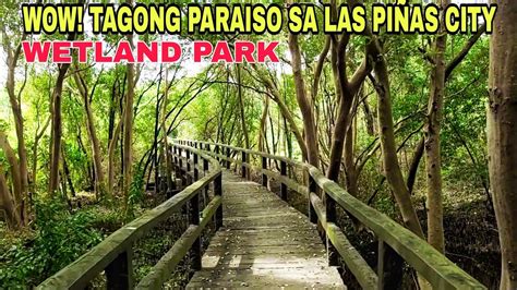 WOW WETLAND PARK TAGONG PARAISO SA LAS PIÑAS PARAÑAQUE CITY YouTube