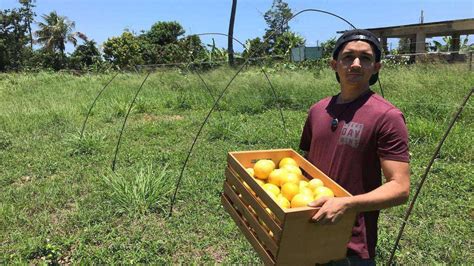 7 Pioneros De La Agricultura Sustentable En Puerto Rico Noticel La Verdad Como Es Noticias