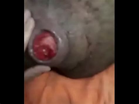 FISTING Levando mão no rabo XVIDEOS