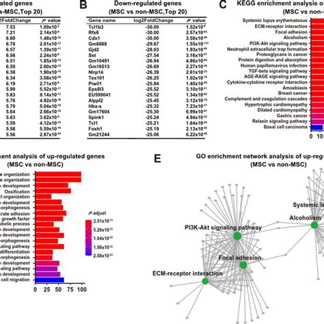 Differential Gene Expression Analysis Between Mscs And Non Mscs A Top Download Scientific