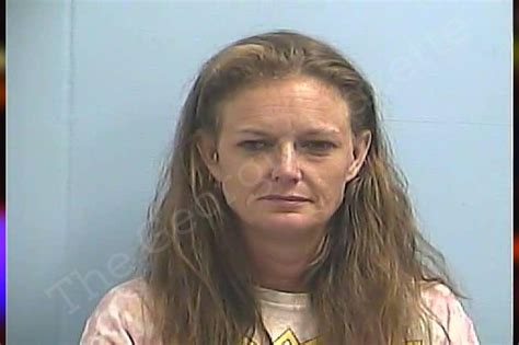 Hollie Miller Dawson County Jail Bookings