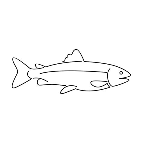 Premium Vector Salmon Fish Outline Illustration