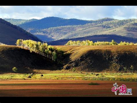 Greater Khingan Mountains in autumn Ⅰ China org cn