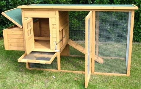 Cookoo That Works How to Keep Chickens Out of Garden Hühner