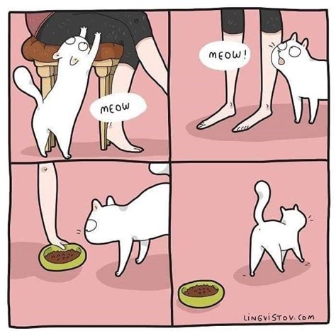 Relatable Cat Comics For Feline Owners And Appreciators Cat Comics