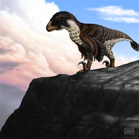 Dakotaraptor Steini By Microcosmicecology On Deviantart