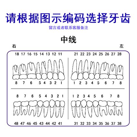 牙位记录 通用 位图 大山谷图库